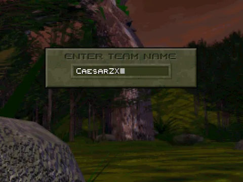 
											A name.