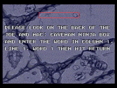 
											Copy Protection