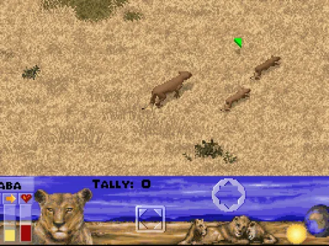 
											First scenario - lioness with cubs