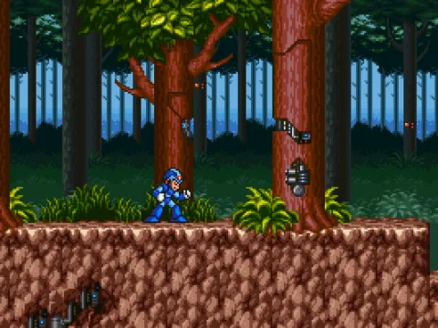 
											Forest level