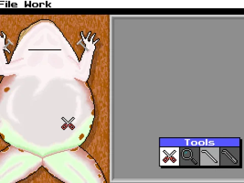 
											Let's dissect it!
