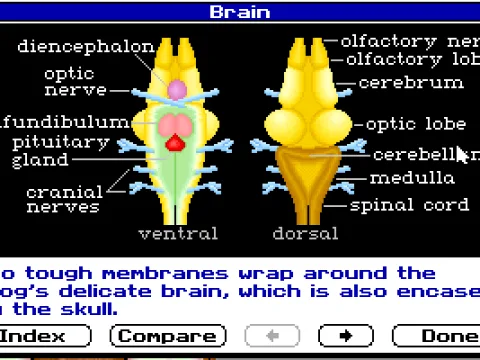 
											The information about an organ
