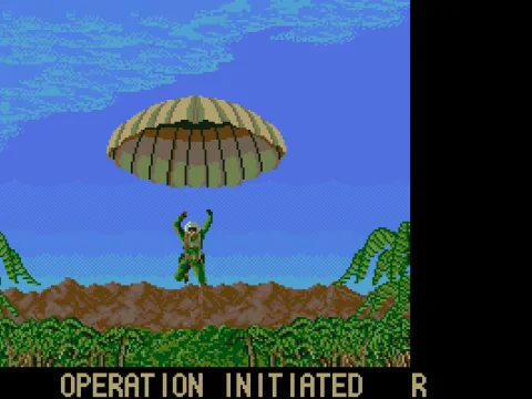 
											the game begins - MCGA/VGA