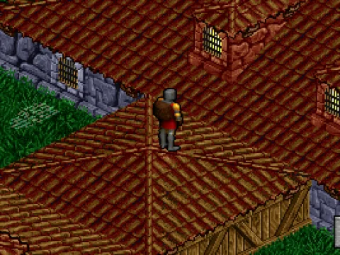
											Only in this game: climb on the roofs! Mostly a cosmetic addition, but who knows what you can find here?..