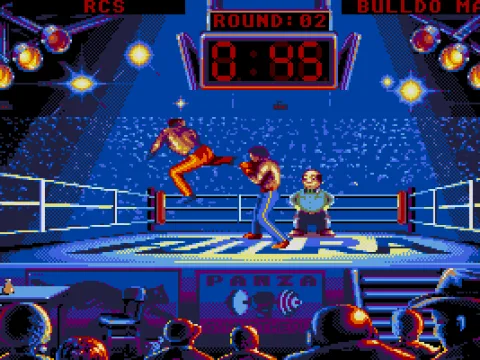 
											Flying Back Kick