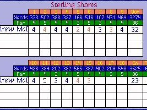 
											Player scorecard while playing