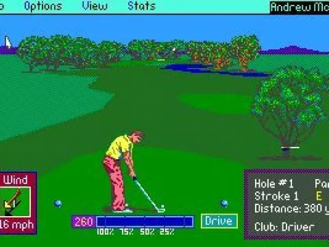 
											Teeing off form on first hole