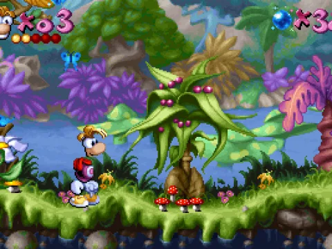 
											In the Dream Forest