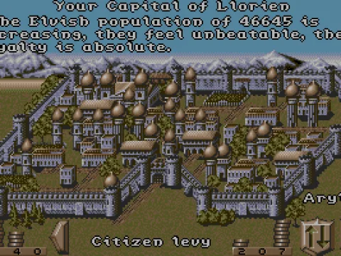 
											City Management