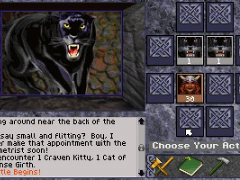 
											The game's combat system, with enemy graphics being either generated portraits similar to the character's for humanoids, or hand-drawn (and animated) graphics for monsters.