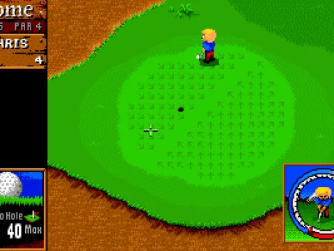 
											The green. The arrows indicate solping terrain.