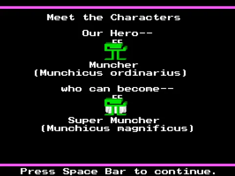 
											the players character - MCGA/VGA