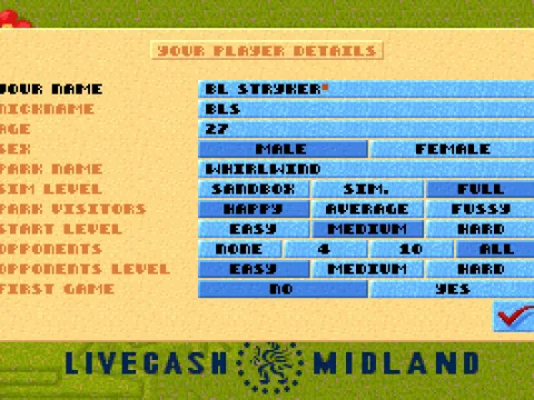 
											Your player details
