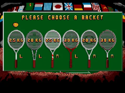 
											Choosing a racket (VGA).