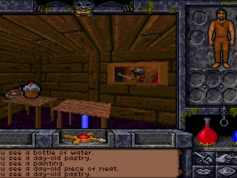 
											The adventure begins. This is the Avatar's room