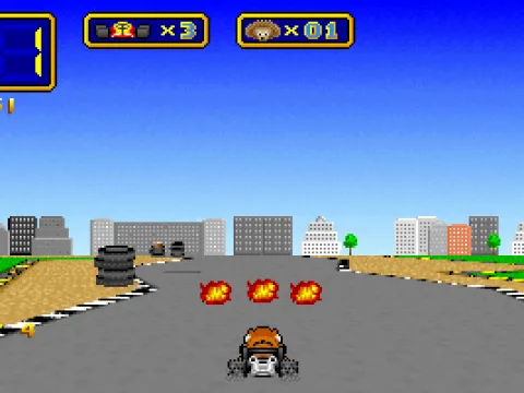 
											You can shoot fireballs or hedgehogs (!) once you've collected them.