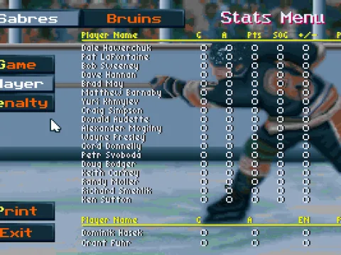 
											Sabres Players stats