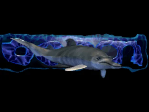 
											Ocean logo