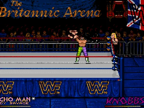 
											WWF European Rampage Tour screenshot 6