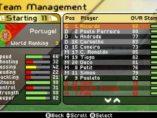 
											Team Management