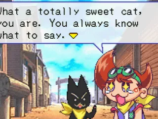 
											Sweet cat