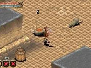 
											Fighting rats