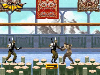 
											...fighting ninjas.