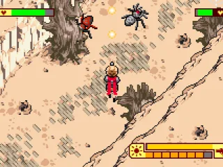 
											Fighting spiders