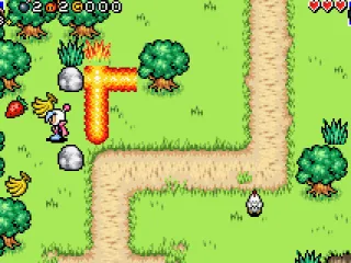 
											Collecting fruits
