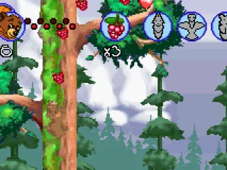
											Climb on trees