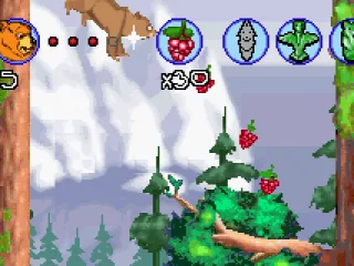 
											Collect fruits