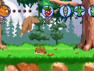 
											Hedgehog