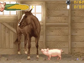 
											Ike the horse.