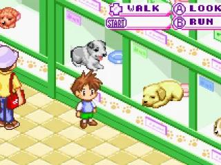 
											Choosing a puppy.