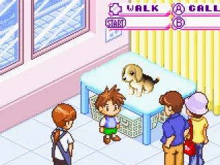 
											Meeting your puppy.
