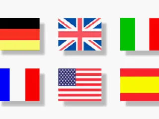 
											Language selection