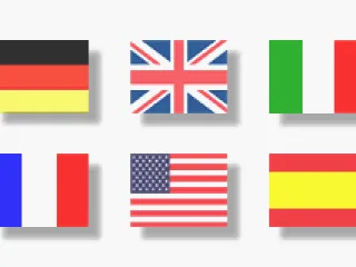 
											Language selection