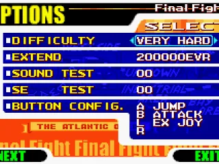 
											Modify some game settings in the options screen.