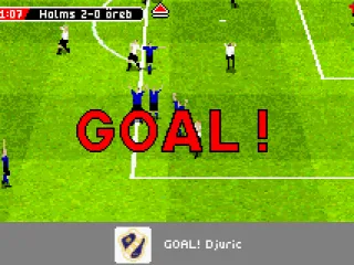 
											Goal Celebration