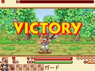 
											Won the fight