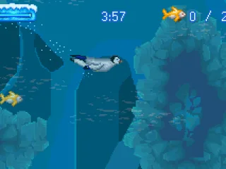 
											Take a dive and catch some fish