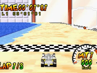 
											Race