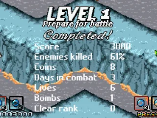 
											End of level statistics