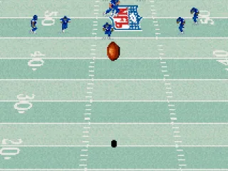 
											The punt