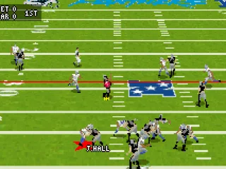 
											Attempting a pass.