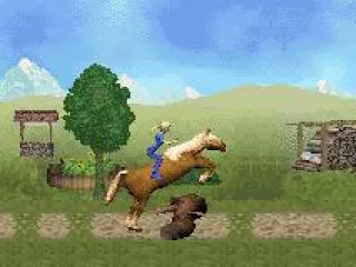 
											Enjoy riding horses and train them