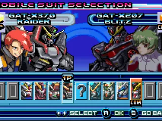 
											Selecting a fighter