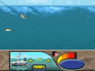 
											Reeling in the fish