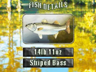 
											What did we catch?
