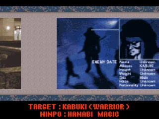 
											The mission target